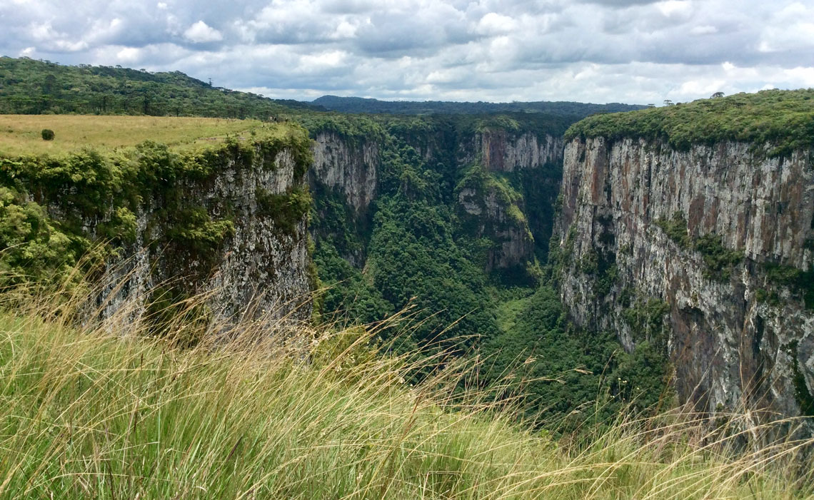 Cânion em Cambará do Sul, Rio Grande do Sul: vegetação muda conforme a altitude. 