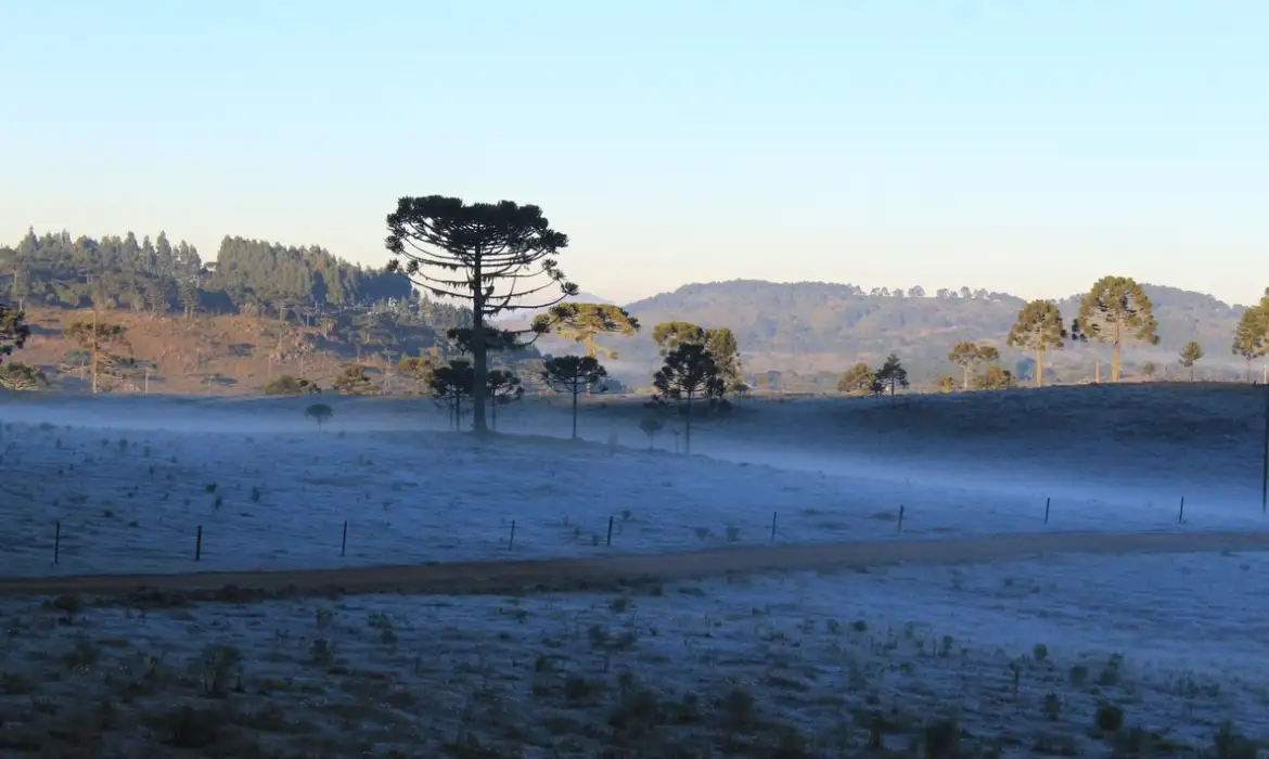 Frio ainda não acabou no Brasil! Próxima massa de ar gelado está a caminho