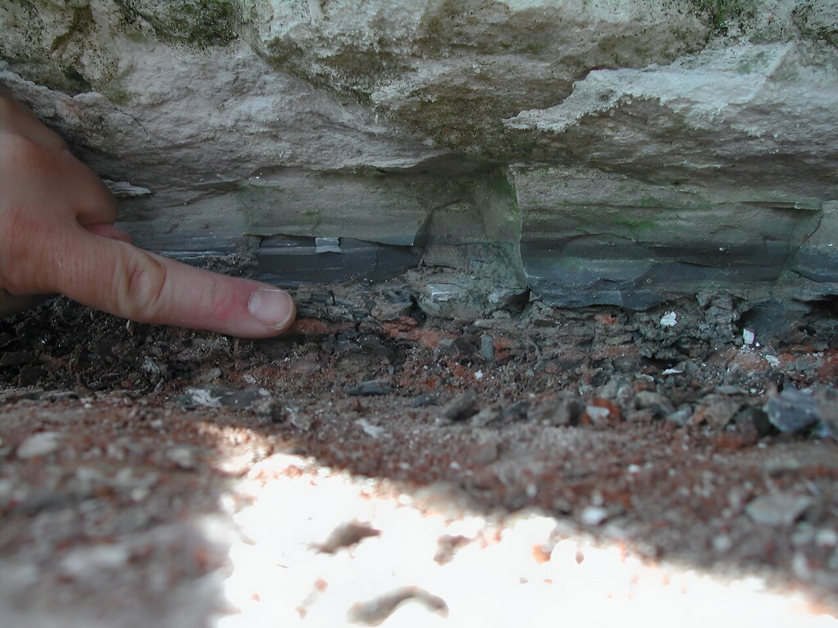 Rutênio é um material presente na composição do asteroide que matou os dinossauros, sendo a chave para identificar a origem do corpo celeste.