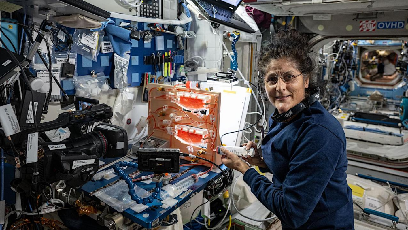 Stranded astronauts learn space gardening techniques