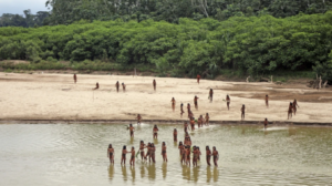 Tribo amazônica entra em conflito com madereiros no Peru