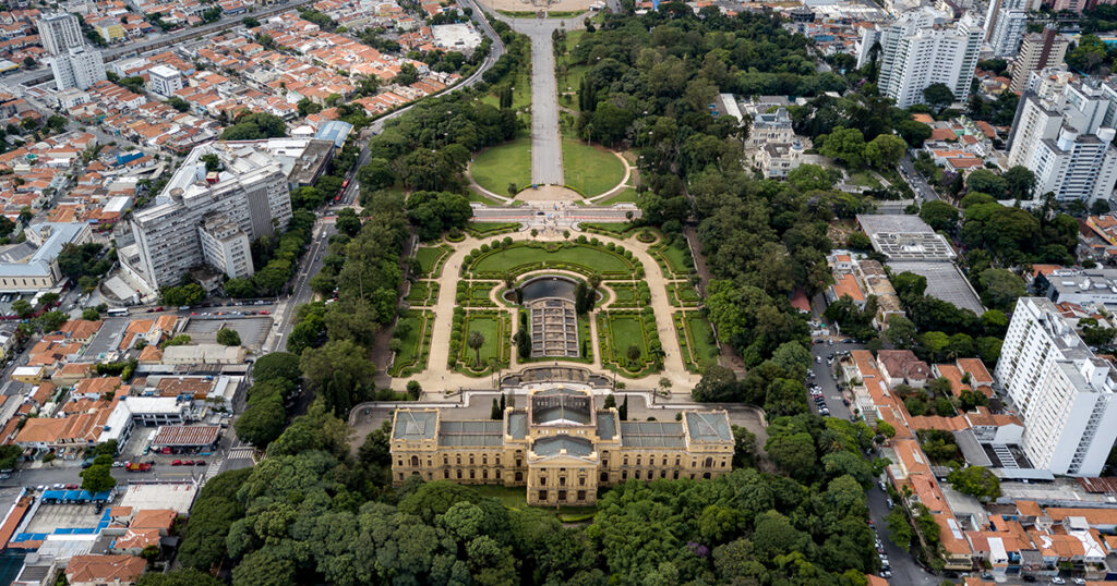 Em espaços tombados, como o Parque da Independência, há Tipuanas que florescem em verde e amarelo – Foto: Webysther/Wikimedia Commons – CC BY-SA 4.0 