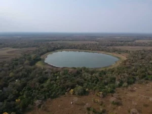 Estudo avalia como as emissões das 'lagoas de soda' do Pantanal contribuem para a mudança climática