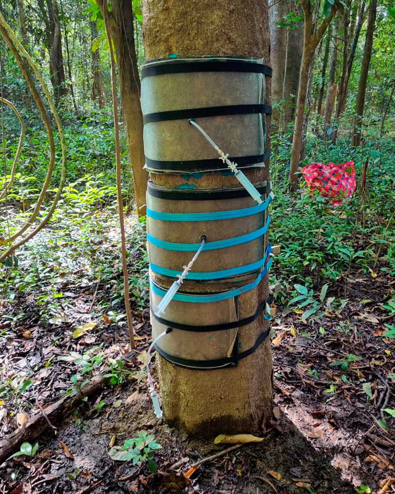 Câmaras com sensores permitiram medir a troca de gases