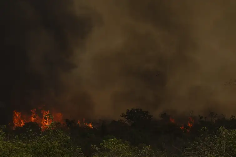 Grandes focos de incêndio atingiram áreas do Parque Nacional de Brasília nesta segunda-feira - Marcelo Camargo/Agência Brasil 