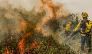 Brasil supera recorde de incêndios antes do ano acabar