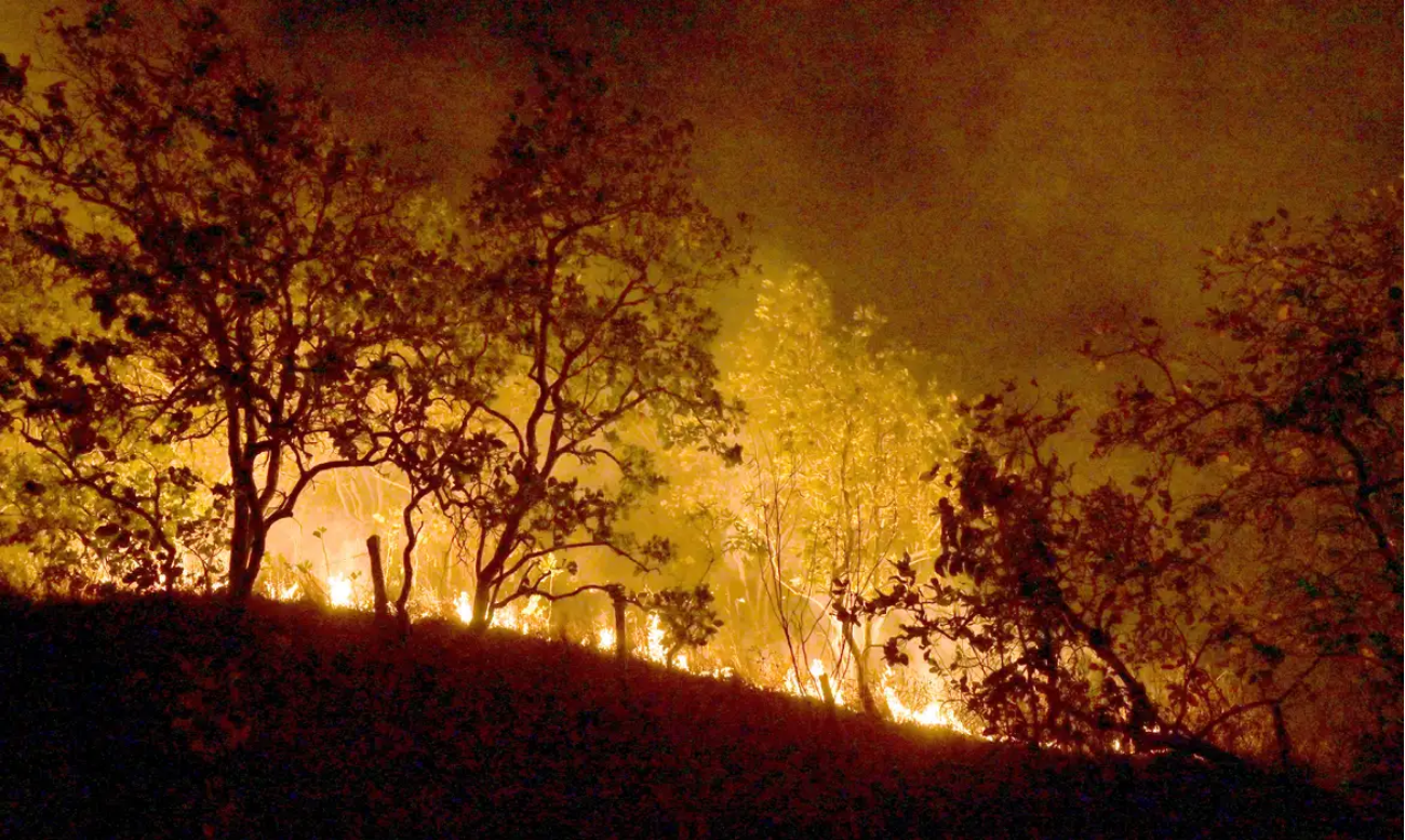 Atraso do La Niña pode prejudicar combate a incêndios no Brasil