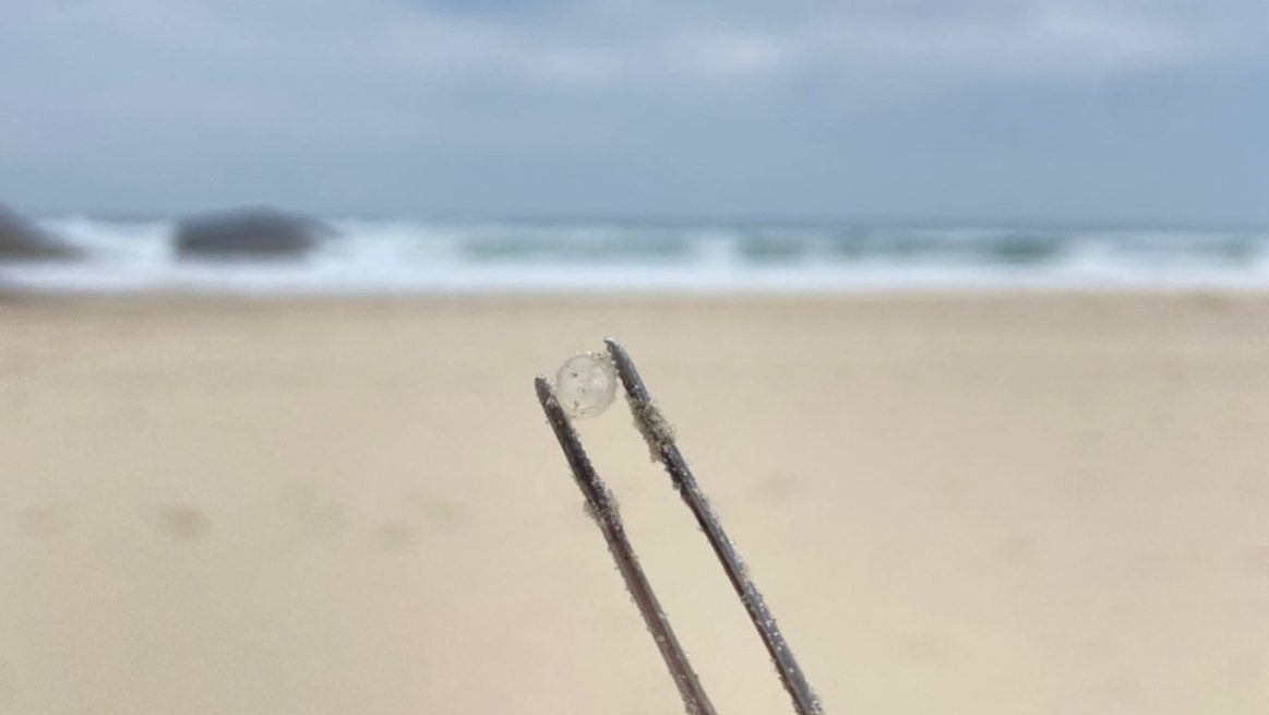 Microplásticos vindos do porto de Itajaí (SC) chegam a praias a 80 km em até dois dias, constata estudo