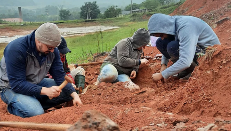 Cientistas brasileiros correm para salvar fósseis expostos pelas chuvas no sul