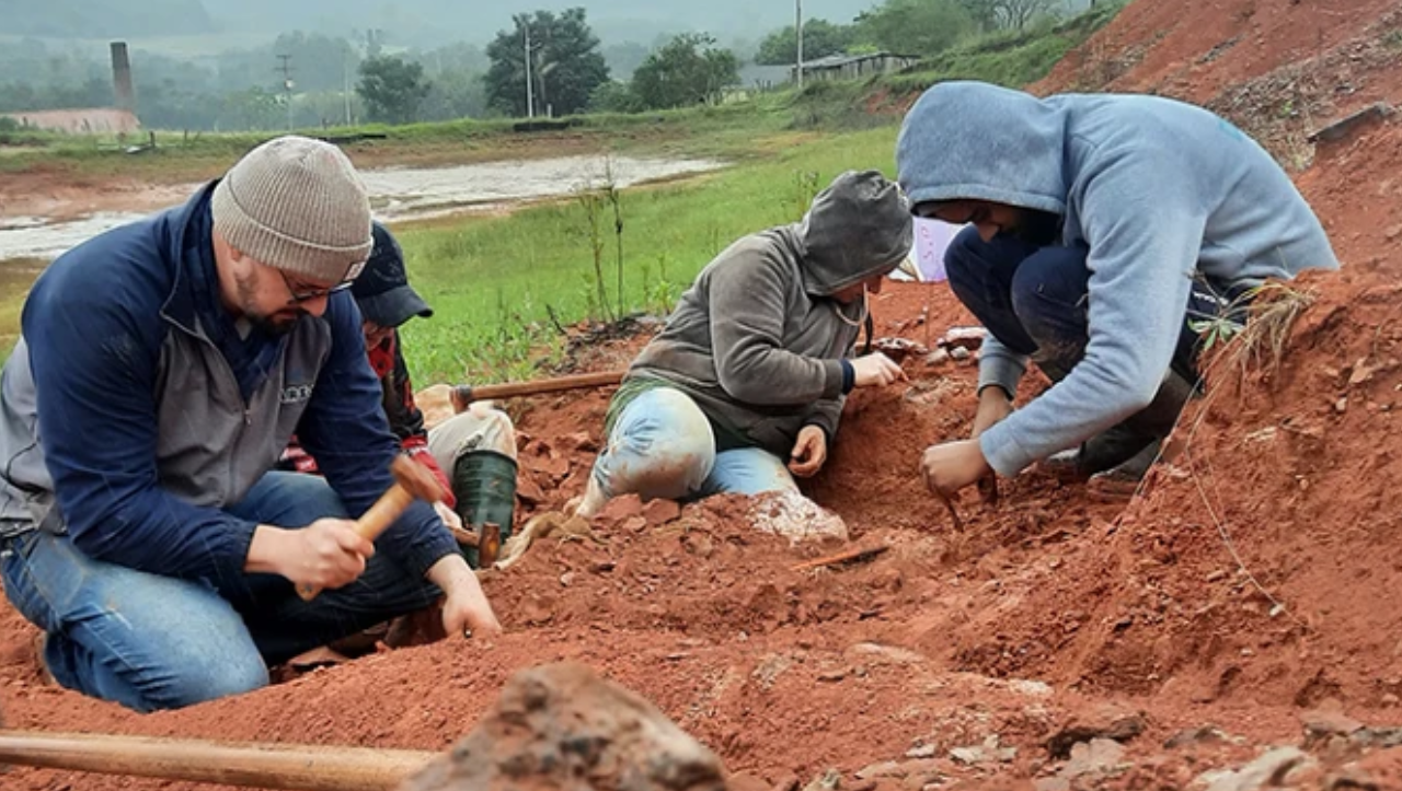 Cientistas brasileiros correm para salvar fósseis expostos pelas chuvas no sul