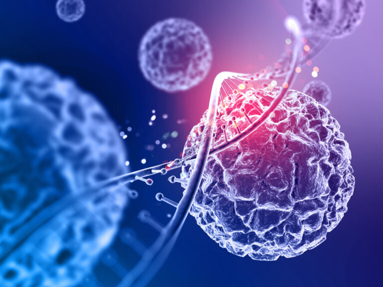 Estudo propõe que proteínas possam se compartimentalizar e formar gotículas no interior das células