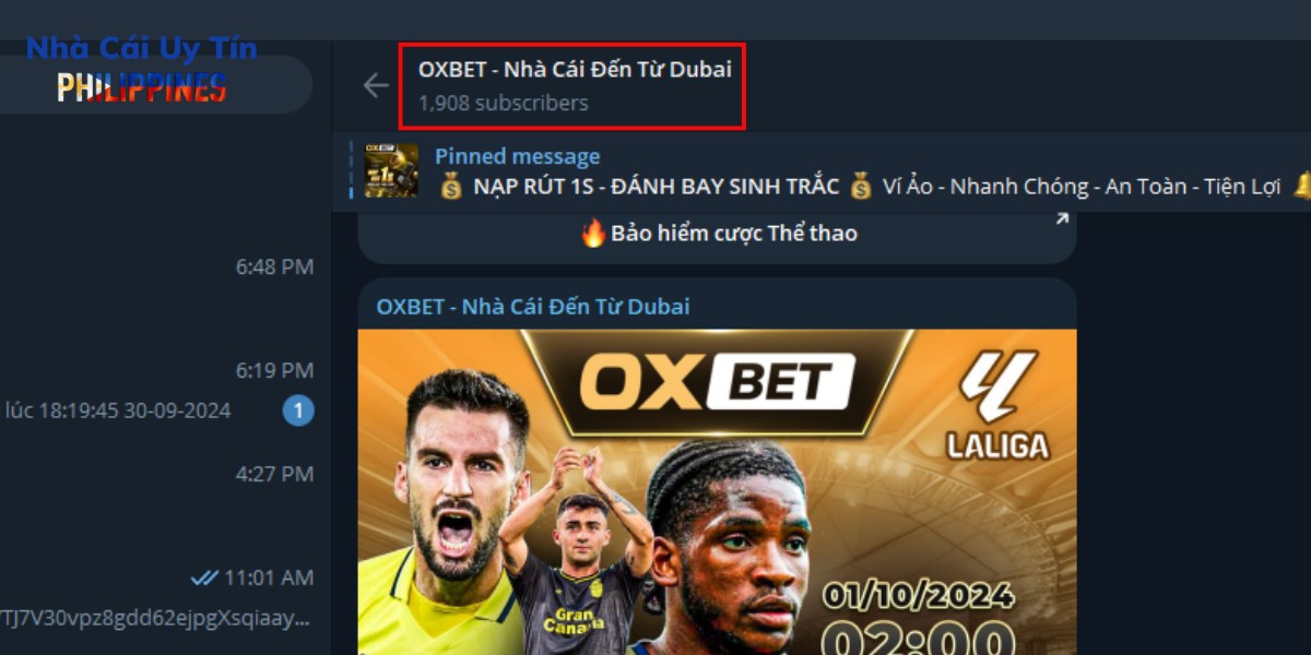 Kênh Telegram của Oxbet