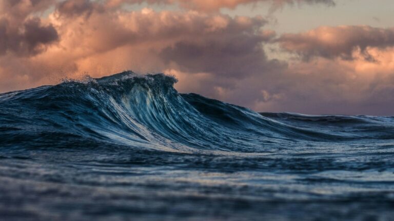 Cidade brasileira é a primeira do mundo a reconhecer as ondas do mar como seres vivos