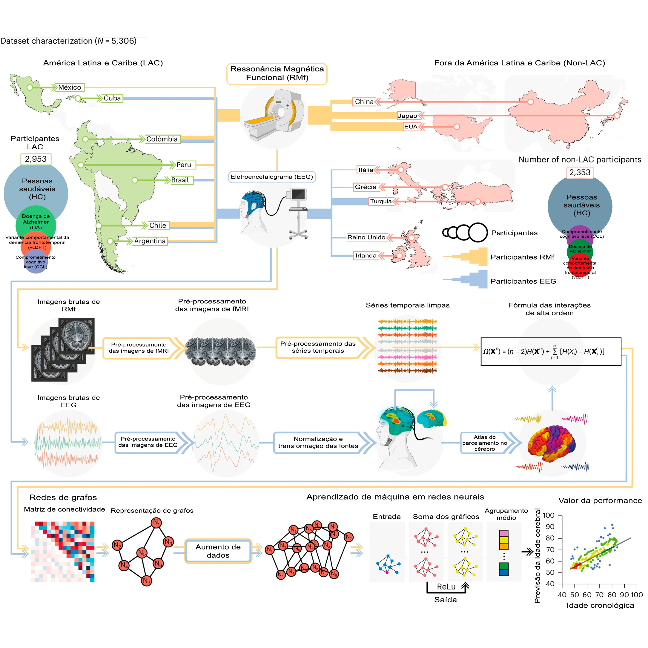 Elaboração dos “relógios cerebrais”, com base nos exames de Eletroencefalograma (EEG) e Ressonância Magnética Funcional (RMf) na América Latina e Caribe (LAC) e em outros países fora da região (non-LAC), cujas dados são processados para obtenção, por meio de aprendizado de máquina, de um algoritmo que faz o cálculo da diferença entre a idade cerebral e a cronológica – Imagem: extraída do artigo