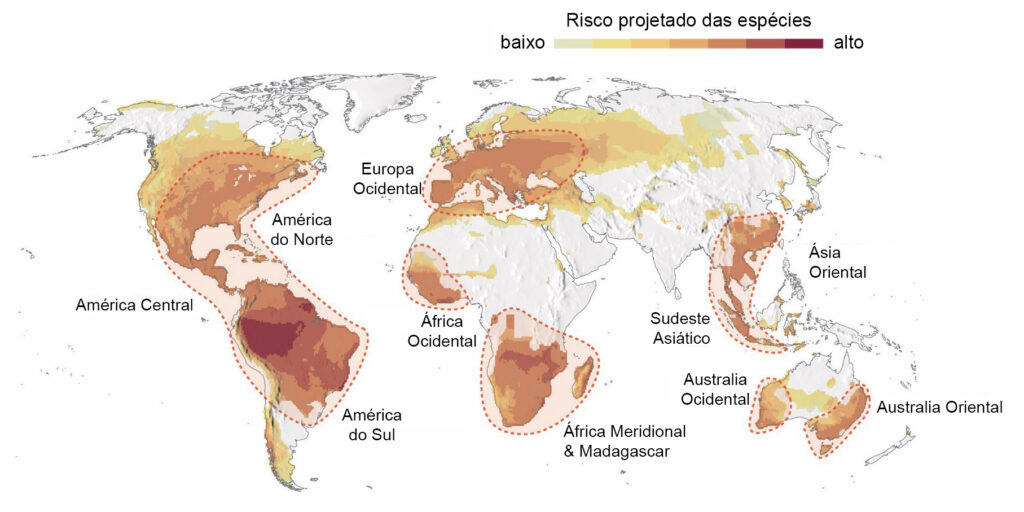 Níveis de risco projetados para espécies de anuros ao redor do mundo devido ao aumento da aridez por altas emissões de carbono. Bovo destaca regiões como Amazônia, Mata Atlântica, Europa, América Central, Austrália e sul e centro da África - Gráfico: Nicholas C. Wu 