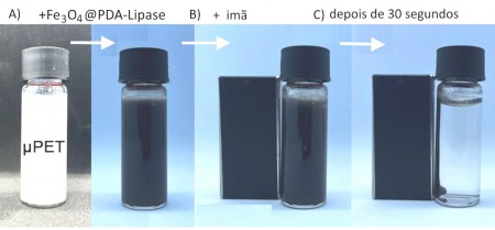 Resumo do processo de purificação: a água poluída por microplásticos (PET); o acréscimo de nanopartículas magnéticas funcionalizadas com polidopamina e lipase; e a remoção das nanopartículas juntamente com os microplásticos por meio de um ímã (fotos: Henrique Eisi Toma)