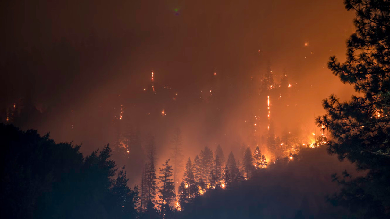 Emissões de carbono decorrentes de incêndios florestais aumentaram 60% entre 2001 e 2023