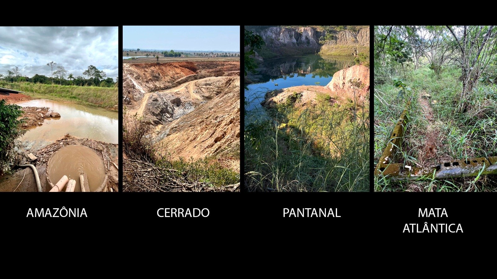 Garimpos ilegais de ouro podem emitir 3,5 toneladas de carbono por hectare e concentrar mercúrio no solo