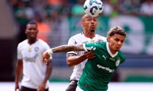 onde assistir botafogo x palmeiras